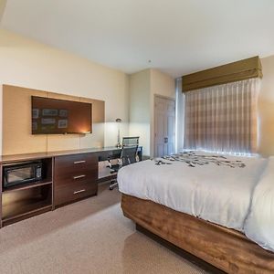 King Suite Sofa Bed